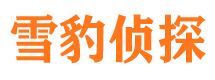 高台市调查公司